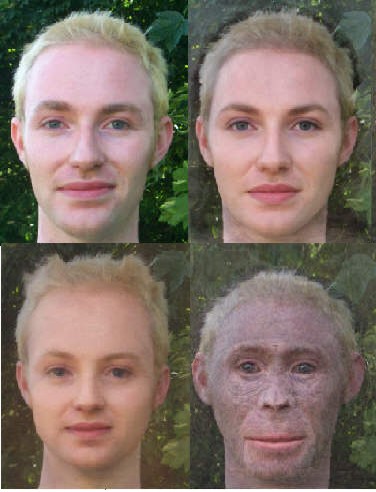 4 images 2
